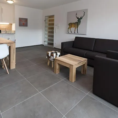 Ski & Golf Suites Zell Am See By Alpin Rentals - Incl Summercard Room photo